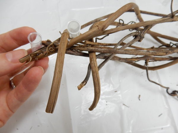 Glue in tiny test tubes as a water source for the flowers Glue in tiny test tubes as a water source for the flowers