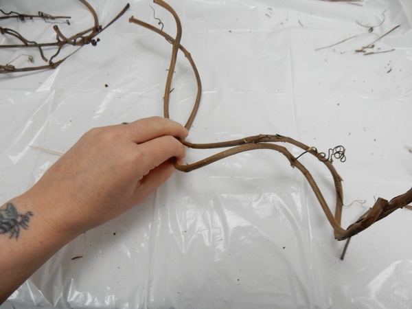 Loosely entwine two vine stems Loosely entwine two vine stems