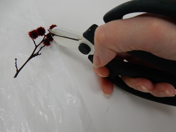 Snip the Stillingia stems to only have the delicate stems Snip the Stillingia stems to only have the delicate stems
