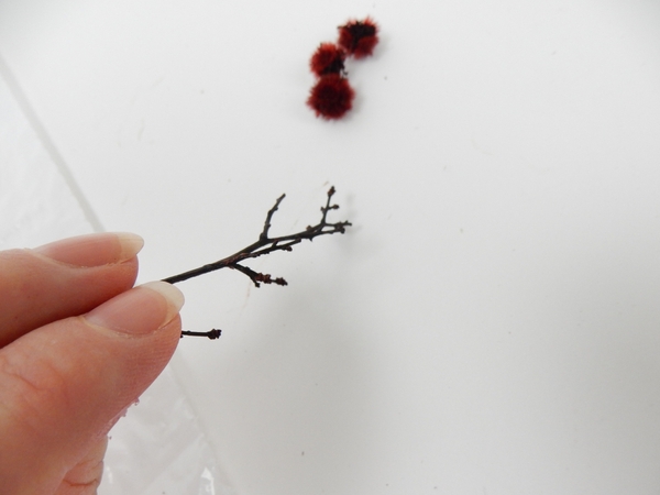 Stillingia stems Stillingia stems
