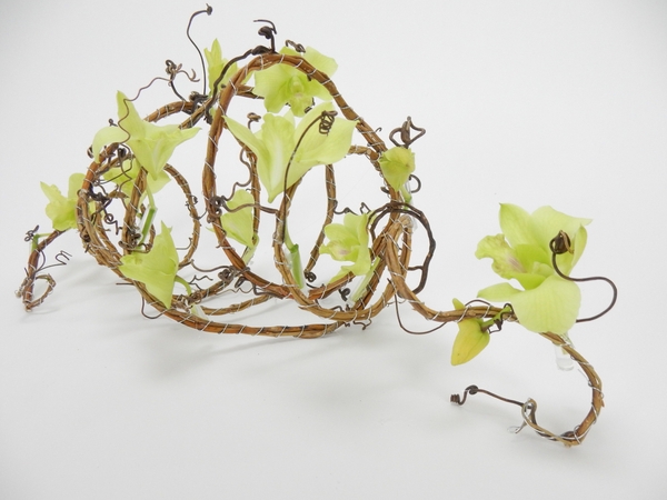 Willow and grape vine coil Willow and grape vine coil