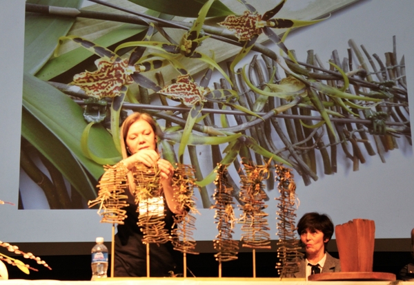 Christine de Beer Floral Art Demonstration