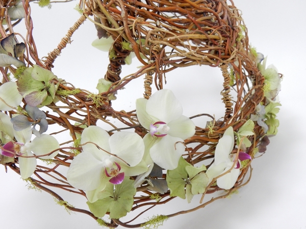 Phalaenopsis orchid and willow parasol Phalaenopsis orchid and willow parasol