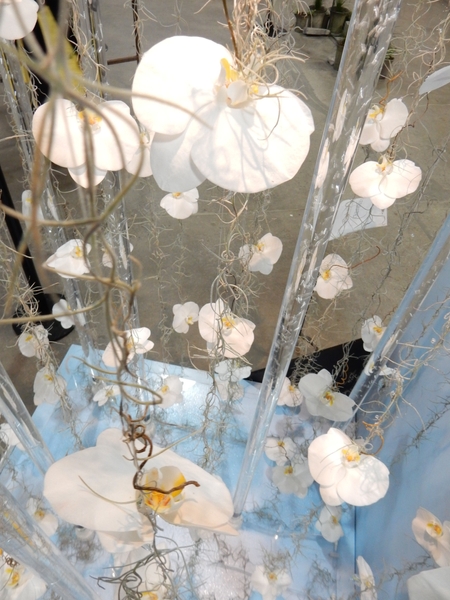 Tillandsia Usneoides woven into garlands, willow tips manipulated into tendrils and white Phalaenopsis orchids Tillandsia Usneoides woven into garlands, willow tips manipulated into tendrils and white Phalaenopsis orchids
