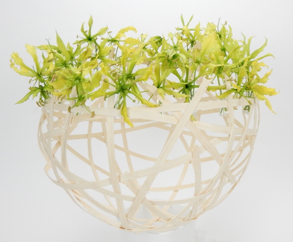 Yellow Gloriosa Lilies Yellow Gloriosa Lilies