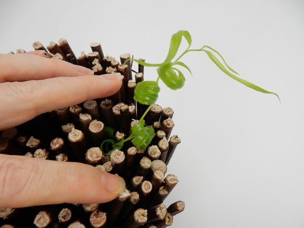 And set it deep in the twigs. And set it deep in the twigs.