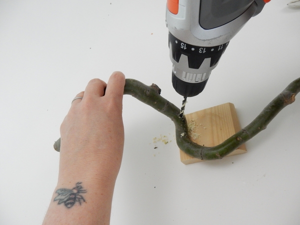 First drill a thinner guide hole at the exact angle you require through the twig First drill a thinner guide hole at the exact angle you require through the twig
