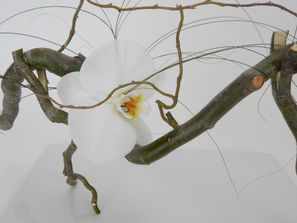 Free standing willow twig armature with a hidden water source Free standing willow twig armature with a hidden water source