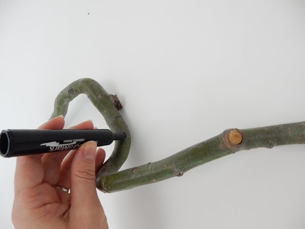 Mark the position for the hidden water source on a third, longer twig with a marker Mark the position for the hidden water source on a third, longer twig with a marker