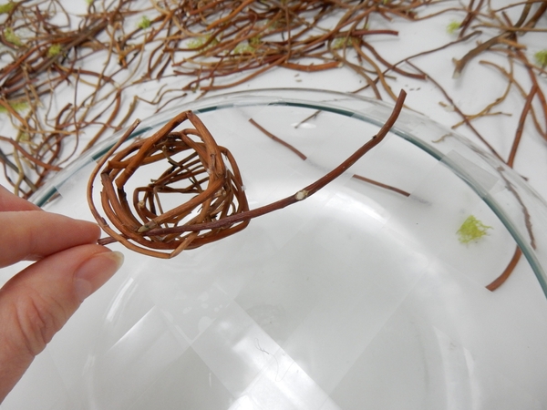 Set the willow on the tape grid Set the willow on the tape grid
