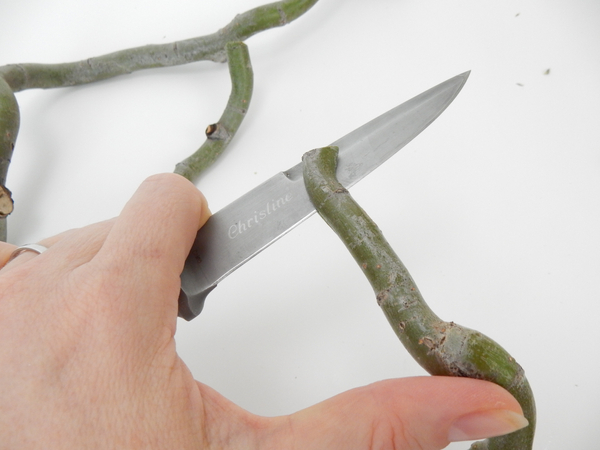 Split the other end of the twig with a sharp knife
