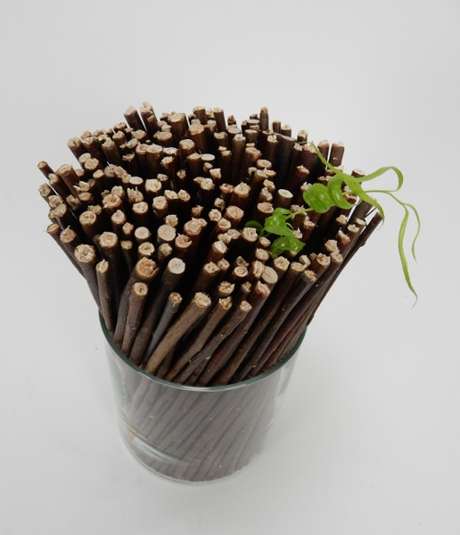 Sprout floral art design Sprout floral art design