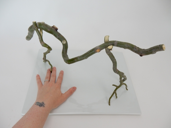 The twig structure is ready to design with The twig structure is ready to design with