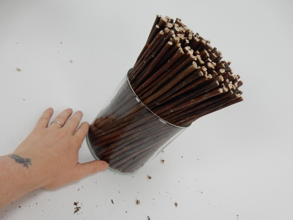 The twigs are now at an angle in the container The twigs are now at an angle in the container
