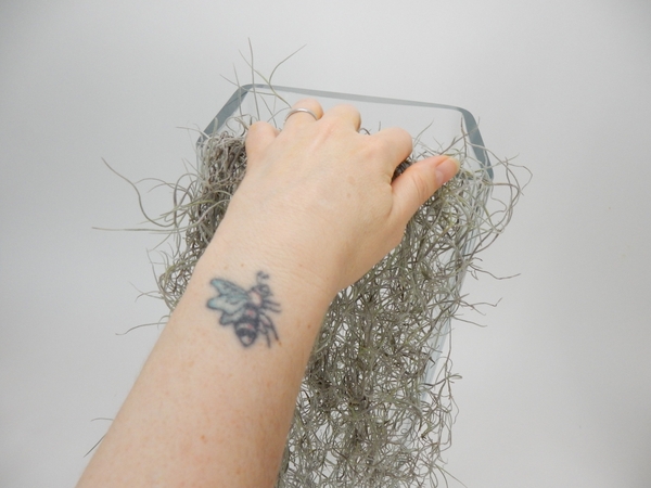 Tuck the Spanish Moss into the container Tuck the Spanish Moss into the container