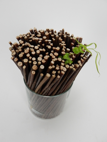Twig armature. Twig armature.