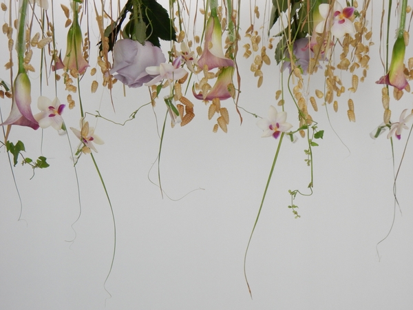 Because I think I am making Progress floral art deisgn Because I think I am making Progress floral art deisgn