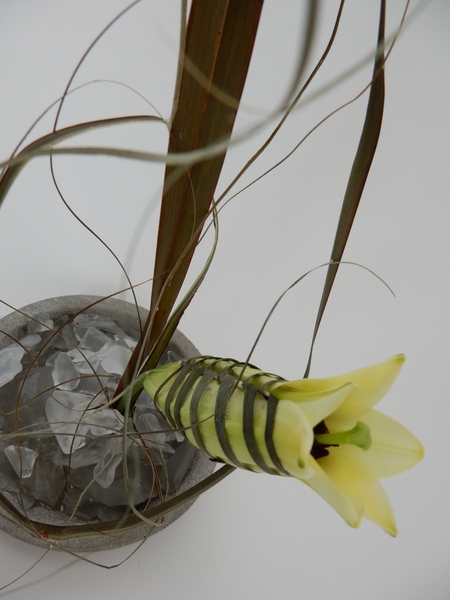 Bind the lily with ripped flax. Bind the lily with ripped flax.