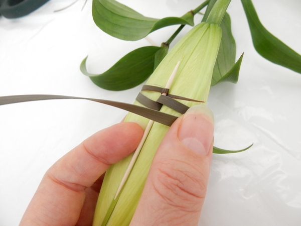 Bring the flax all the way around the lily again Bring the flax all the way around the lily again
