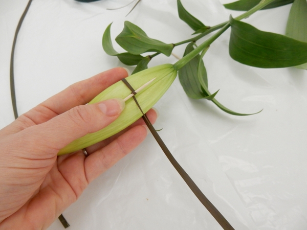 Bring the flax around the lily Bring the flax around the lily