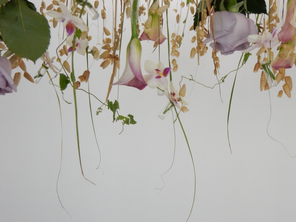 Flower ceiling Flower ceiling