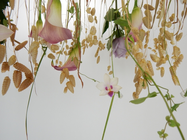 Hanging design Hanging design