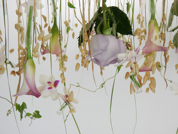 Hanging flowers upside down
