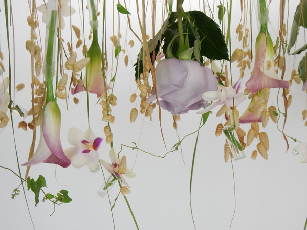 Hanging flowers upside down Hanging flowers upside down
