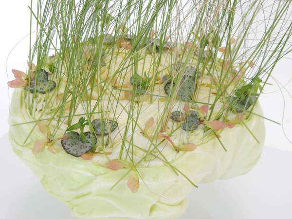 Sliced cabbage platform Sliced cabbage platform