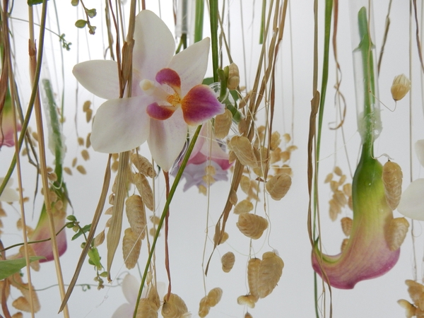 Suspend flowers Suspend flowers