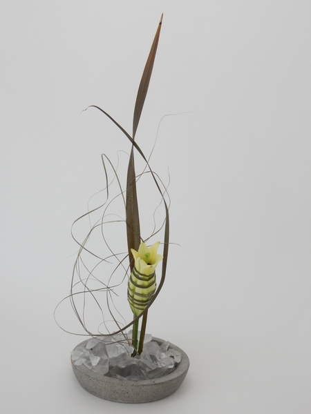 The ties that Bind floral art design The ties that Bind floral art design