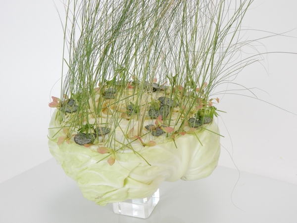 Vegetable design Vegetable design