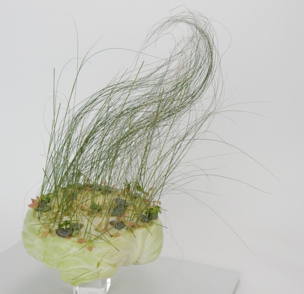 Vegetable floral art design Vegetable floral art design