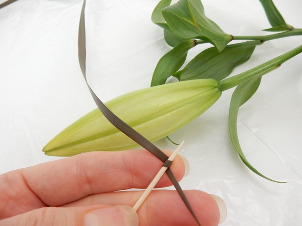 Wrap the flax around the skewer Wrap the flax around the skewer