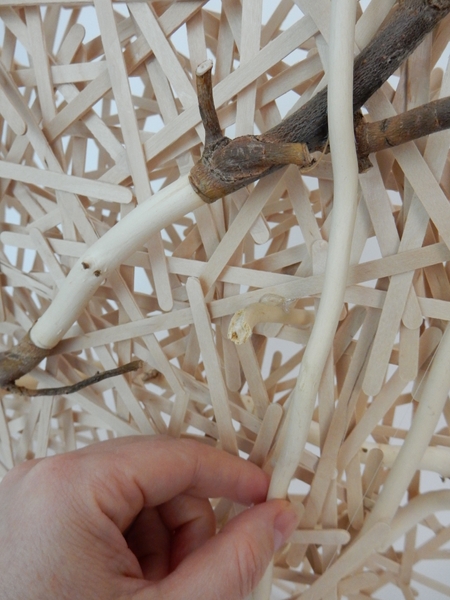 Add in some more decorative willow sticks Add in some more decorative willow sticks