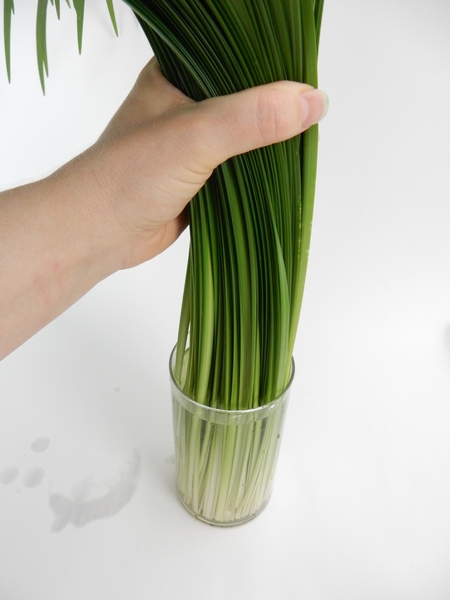 And gently twist the blades And gently twist the blades