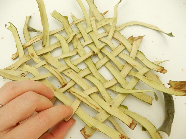 Continue to add strips of fresh bark until you run out of weaving space Continue to add strips of fresh bark until you run out of weaving space