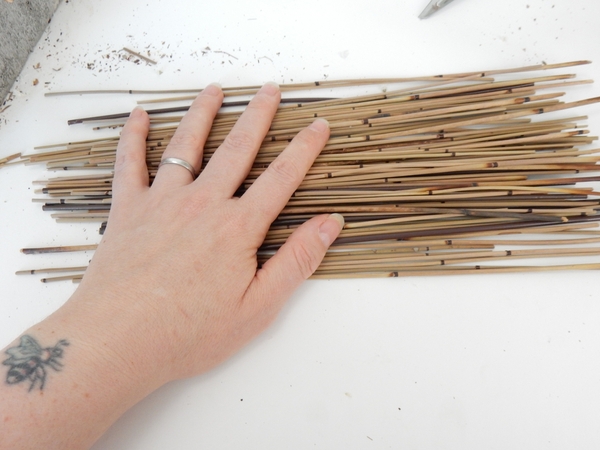 Cut a bundle of shorter reeds Cut a bundle of shorter reeds