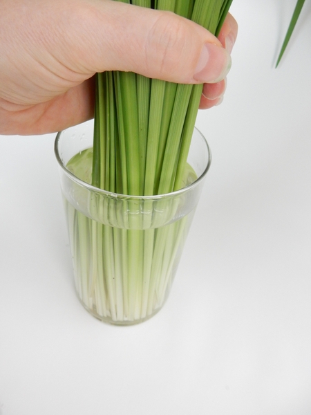 Gather the bundle of grass Gather the bundle of grass