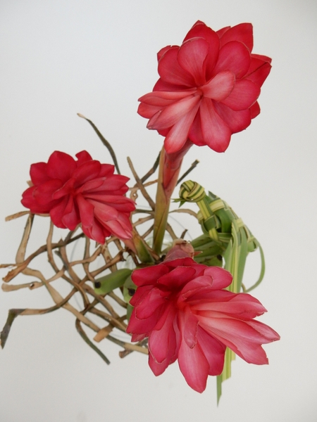 Ginger flowers, bark nest and woven bird Ginger flowers, bark nest and woven bird