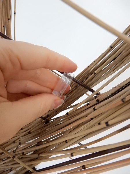 Glue in test tubes for the orchids Glue in test tubes for the orchids