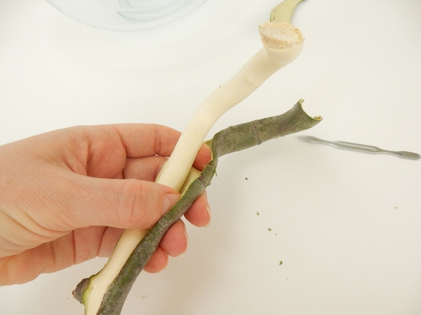 Peel the bark from the wood. Peel the bark from the wood.