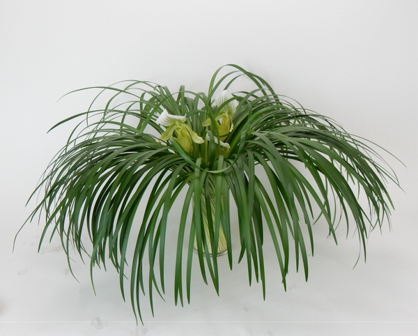Perfection floral art design Perfection floral art design