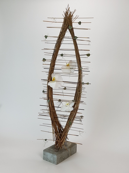 Phalaenopsis orchid and rosary vine and pearl beads in the reed cradle armature Phalaenopsis orchid and rosary vine and pearl beads in the reed cradle armature