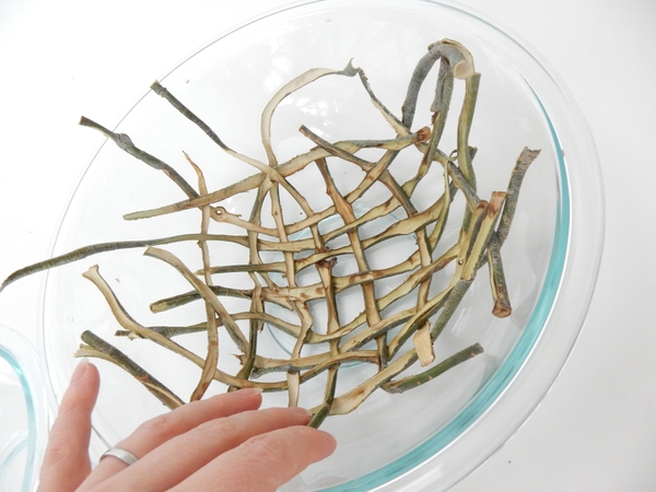 The willow bark now follows the dome contours of the bowl The willow bark now follows the dome contours of the bowl