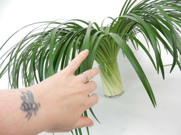When you release the grass it naturally falls into a spiral. When you release the grass it naturally falls into a spiral.
