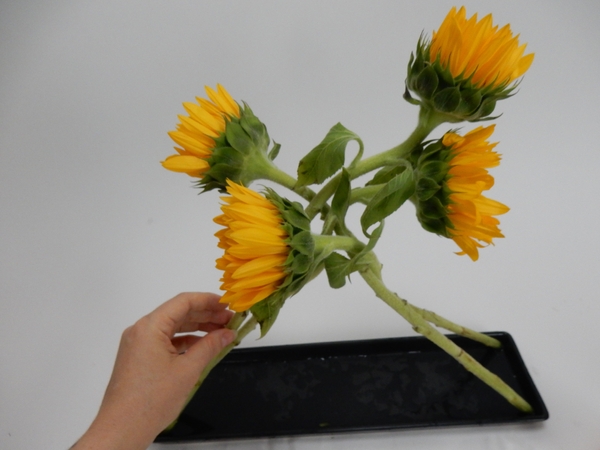 Every now and again wiggle the stems gently to make sure the are secure Every now and again wiggle the stems gently to make sure the are secure