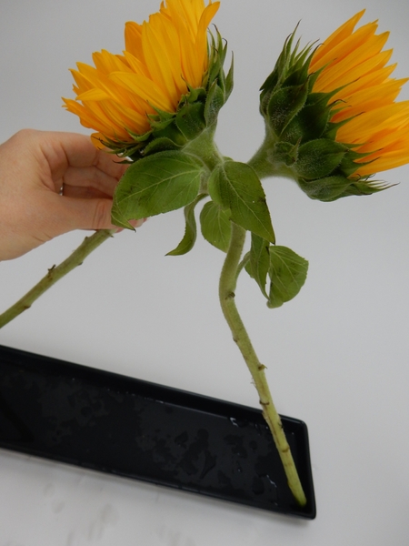 If there is a bend in the flower stems close to the head nuzzle the flowers to sit snugly If there is a bend in the flower stems close to the head nuzzle the flowers to sit snugly