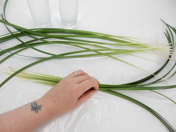 Place a few blades of grass in a horizontal position on a flat working surface Place a few blades of grass in a horizontal position on a flat working surface