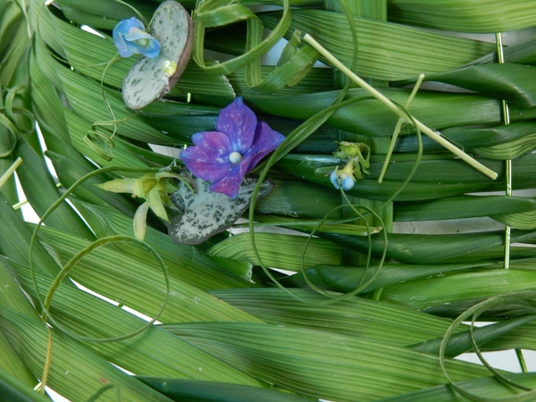 Ripped lily grass trail over the hydrangeas Ripped lily grass trail over the hydrangeas